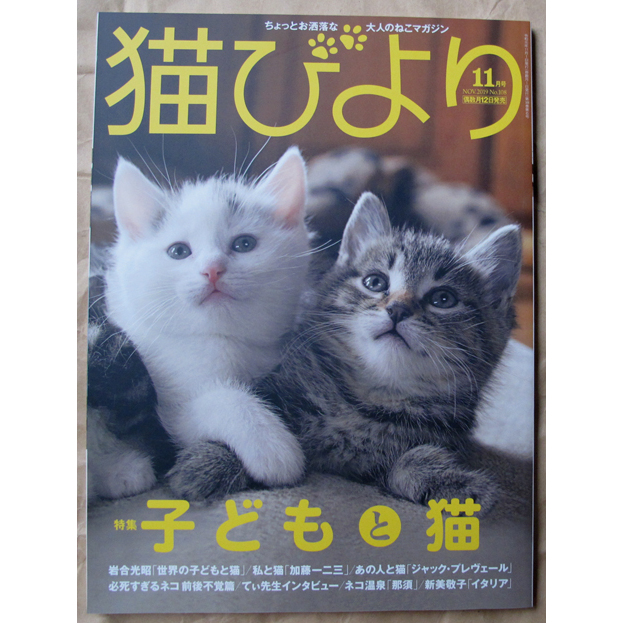 [BRUTUS 可參考] 日版貓咪雜誌 猫びより(貓模貓樣) 19年11月號