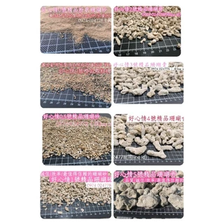 散裝專區/好心情0-6號精品珊瑚砂/散裝500克，珊瑚砂，寄居蟹/過濾水族/園藝造景咾咕石、咕咾石、珊瑚石#珊瑚砂