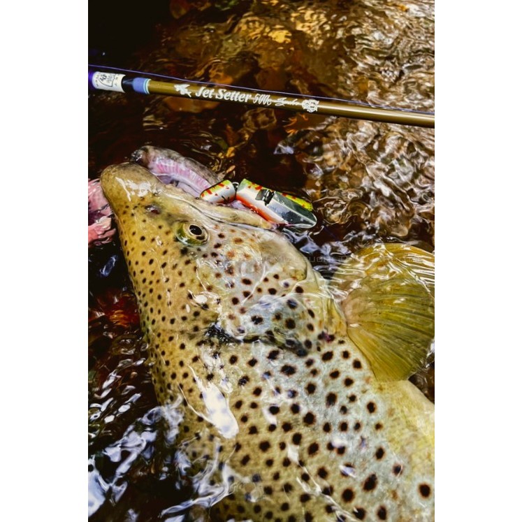 Tulala x JetSetter 500C tulala500c 旅行竿附專屬竿袋鱸魚竿萬用竿