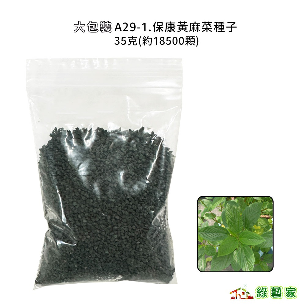 【綠藝家】大包裝A29-1.保康黃麻菜種子35克(約18500顆) 甜麻子 國王菜 麻芛 埃及錦葵 長蒴黃麻 | 蝦皮購物