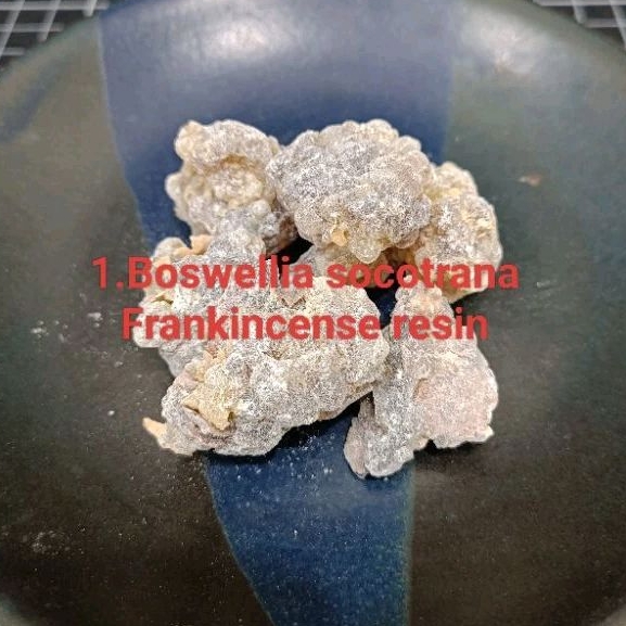 索島乳香樹酯(Boswellia socotrana Frankincense resin) | 蝦皮購物