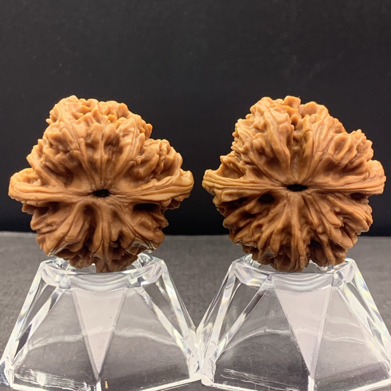 文玩核桃精配老北京古蟾37/37/33已打底，對歪同斜| 蝦皮購物