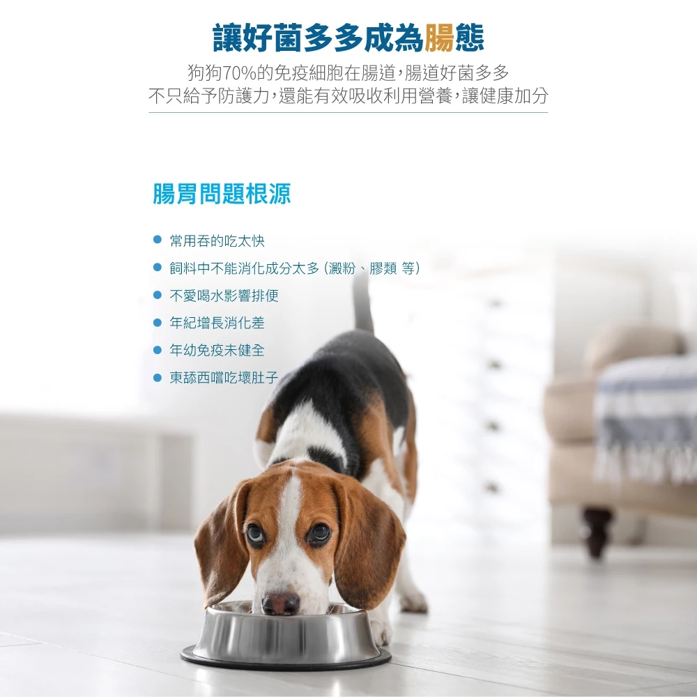 【木入森】狗狗腸胃益生菌 (30包)|犬寶變不臭|寵物益生菌|幫助狗消化吸收 減少排便異味