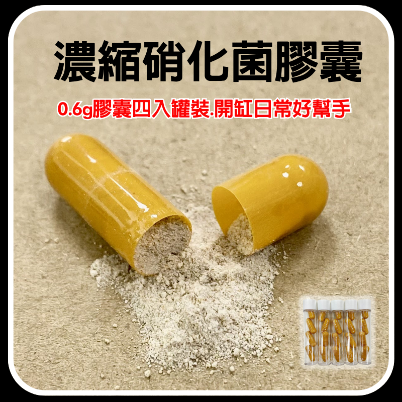 [現貨] 硝化菌膠囊 開缸養水 養魚 試用包 硝化箘 箘粉 水族 淨化水質 除氨 防惡臭 培菌 養魚 開缸 | 蝦皮購物