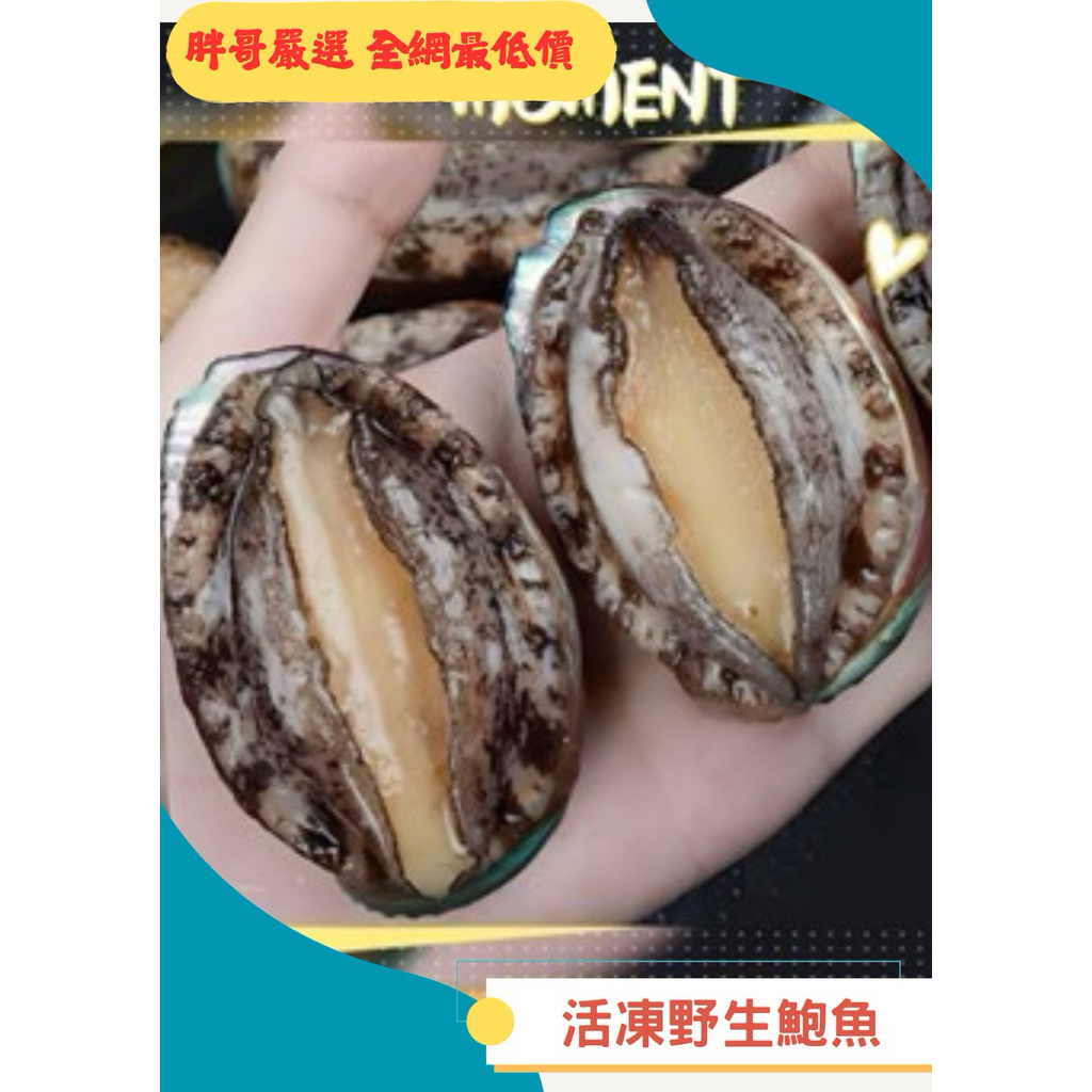 {巧宴老闆} 活凍野生鮑魚/24-26顆/包/1099免運/快速出貨/過年/海鮮/冷凍/健身/健康/減肥/火鍋/燒烤 | 蝦皮購物