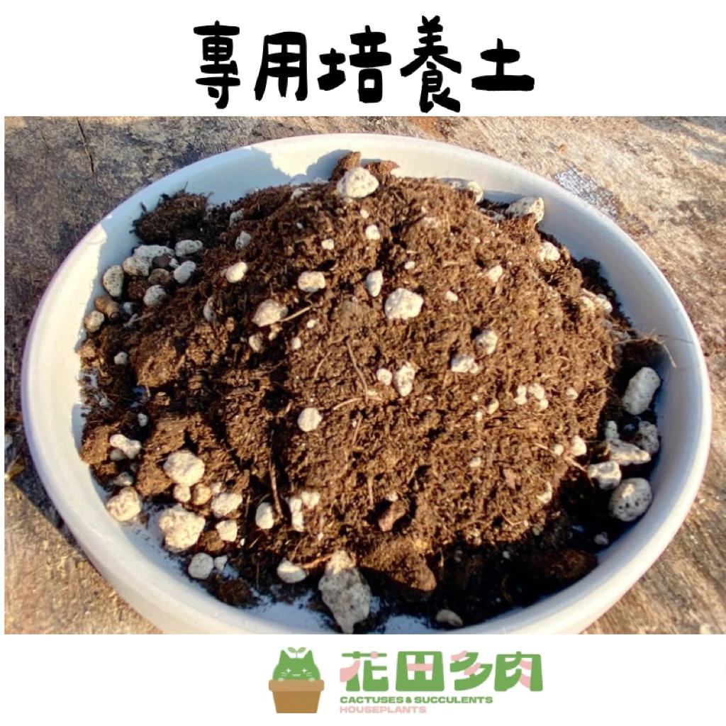 花田多肉專用培養土仙人掌多肉植物介質