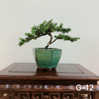 杜松｜優惠推薦- 蝦皮購物- 2025年8月