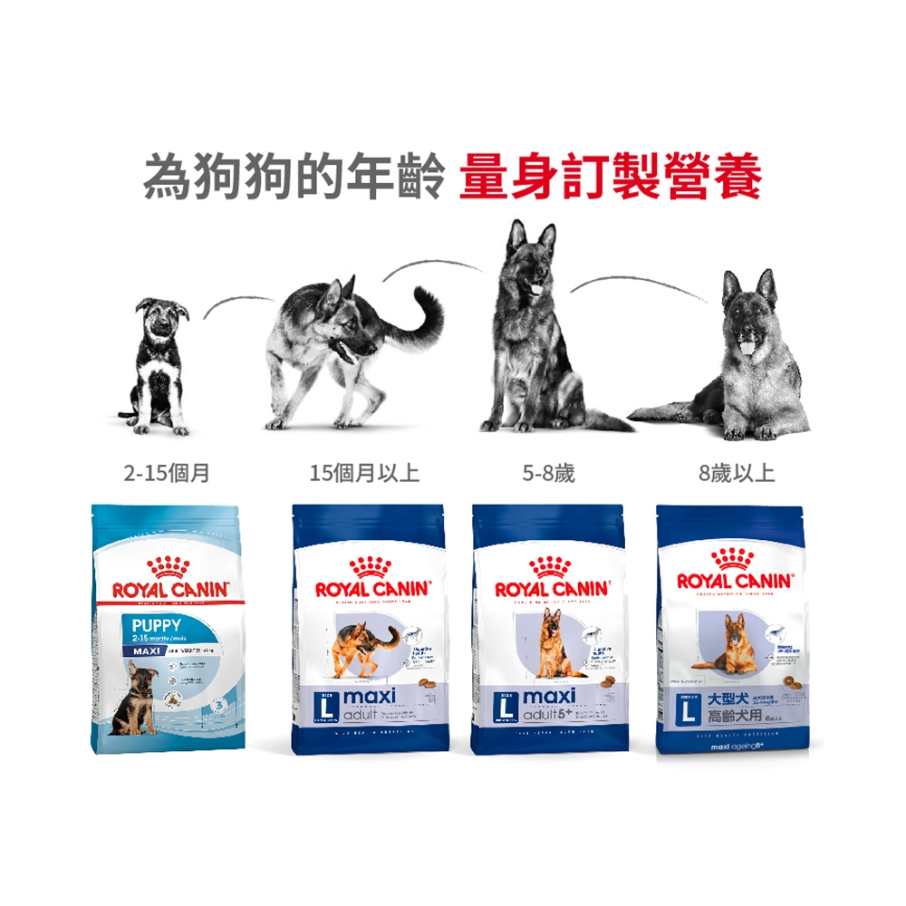 Royal Canin 法國皇家】大型成犬專用飼料MXA 4KG(狗乾糧狗飼料) | 蝦皮購物