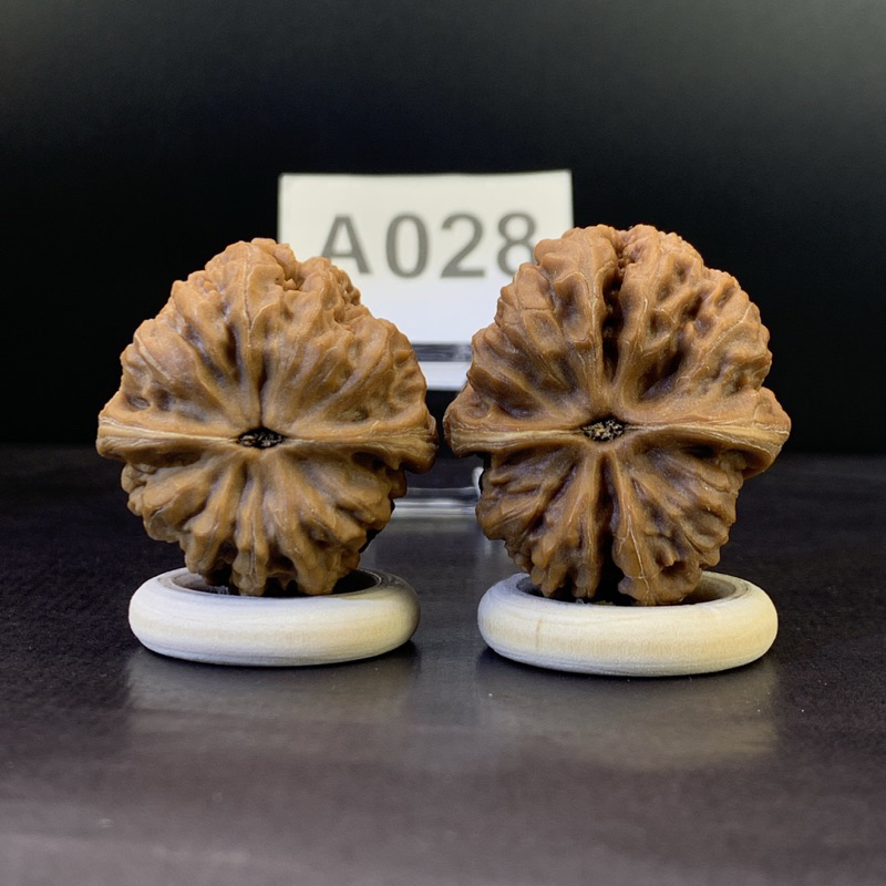 文玩核桃千佛山小粗筋33/36/34有修#028 | 蝦皮購物
