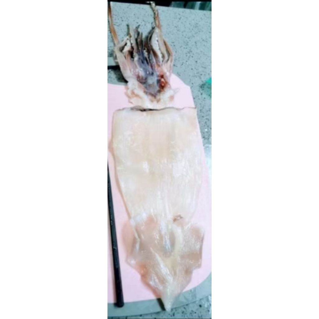 一夜乾魷魚 （300克1份) 魷魚乾 魷魚頭 魷魚切片 魷魚絲 冷凍魷魚乾 | 蝦皮購物