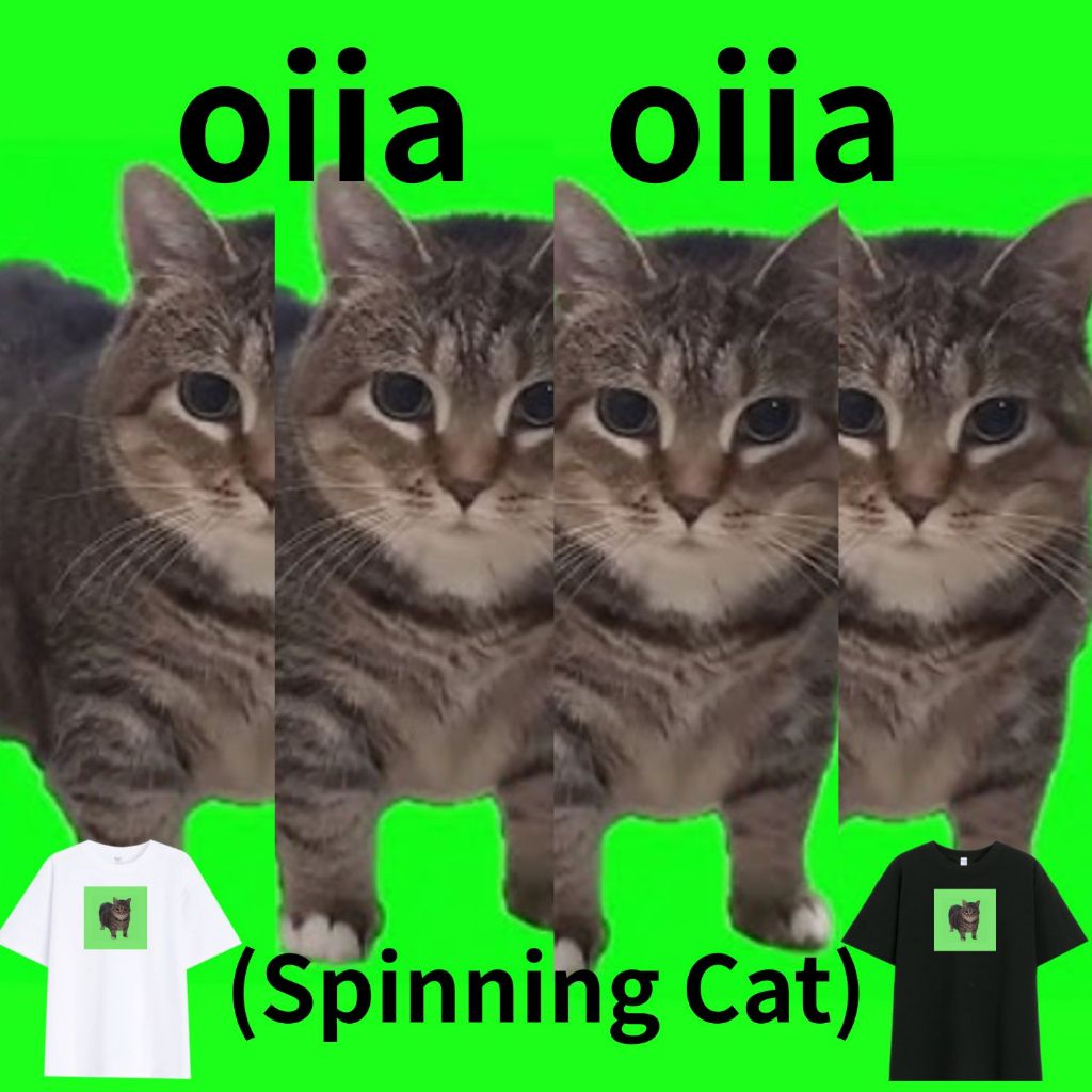 oiia cat 迷因貓貓 t-shirt 男裝 女裝 中大尺碼 梗圖 | 蝦皮購物