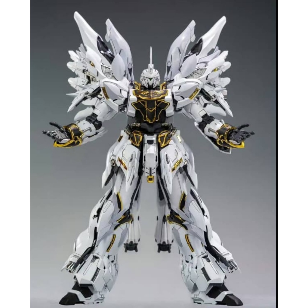 APPS STORE] 彗星科技1/100 白狼三倍速GK造型外甲全套骨架包含主體