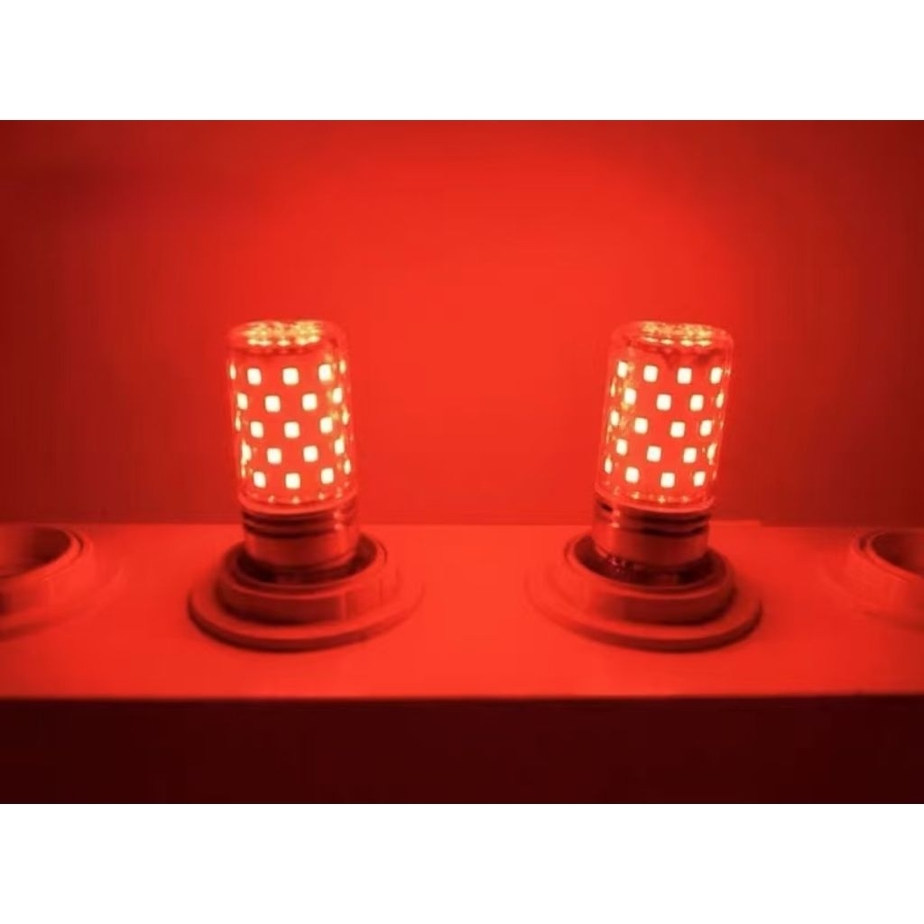 E12燈泡紅光燈泡LED神桌燈泡LED12W紅色燈泡燈籠燈泡LED小夜燈燈泡氣氛燈泡 | 蝦皮購物