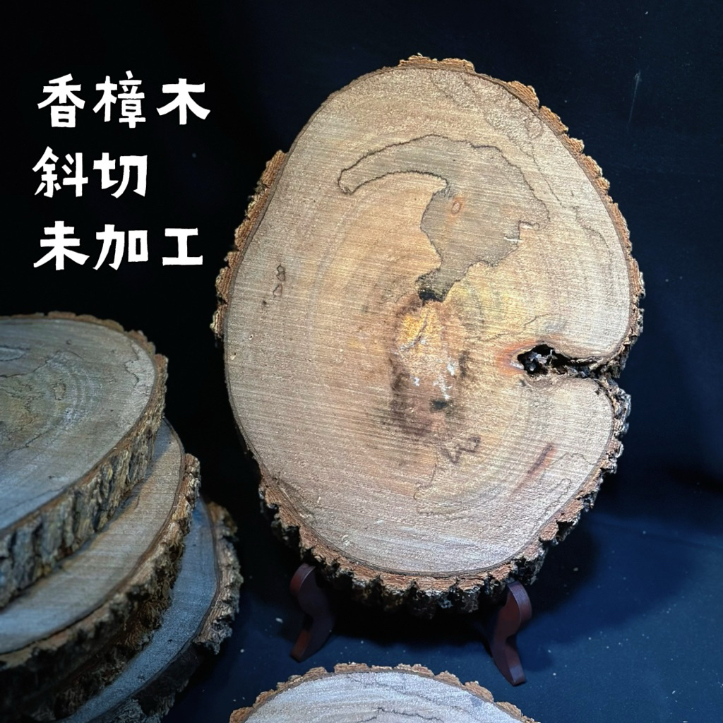 蕨境工坊｜香樟木 斜切 未加工｜天然香樟切片 天然樹木片 鹿角蕨 鹿角蕨板材 植物板 | 蝦皮購物
