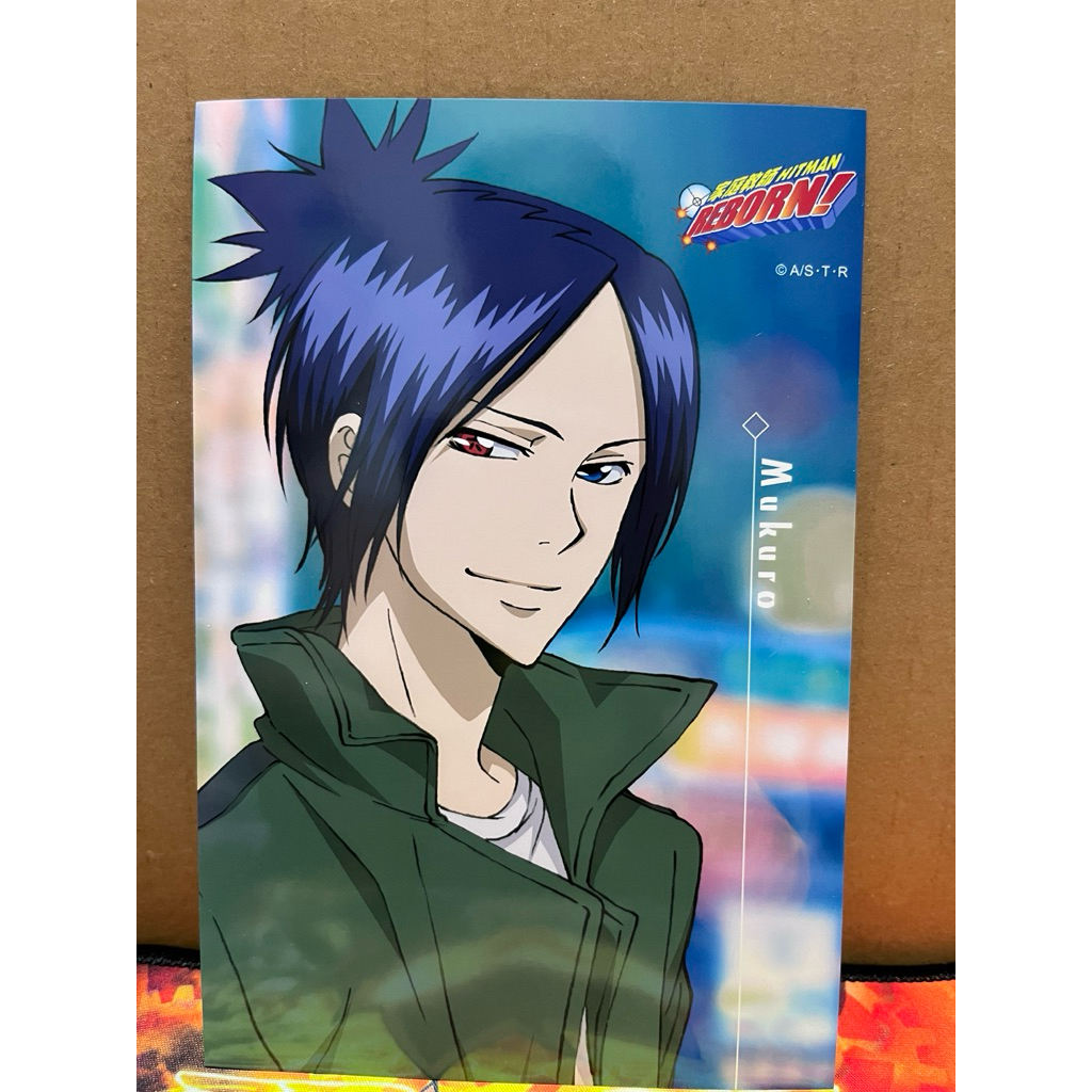 全新現貨］家庭教師Reborn! 安利美特相片相卡白蘭六道骸雲雀恭彌XANXUS