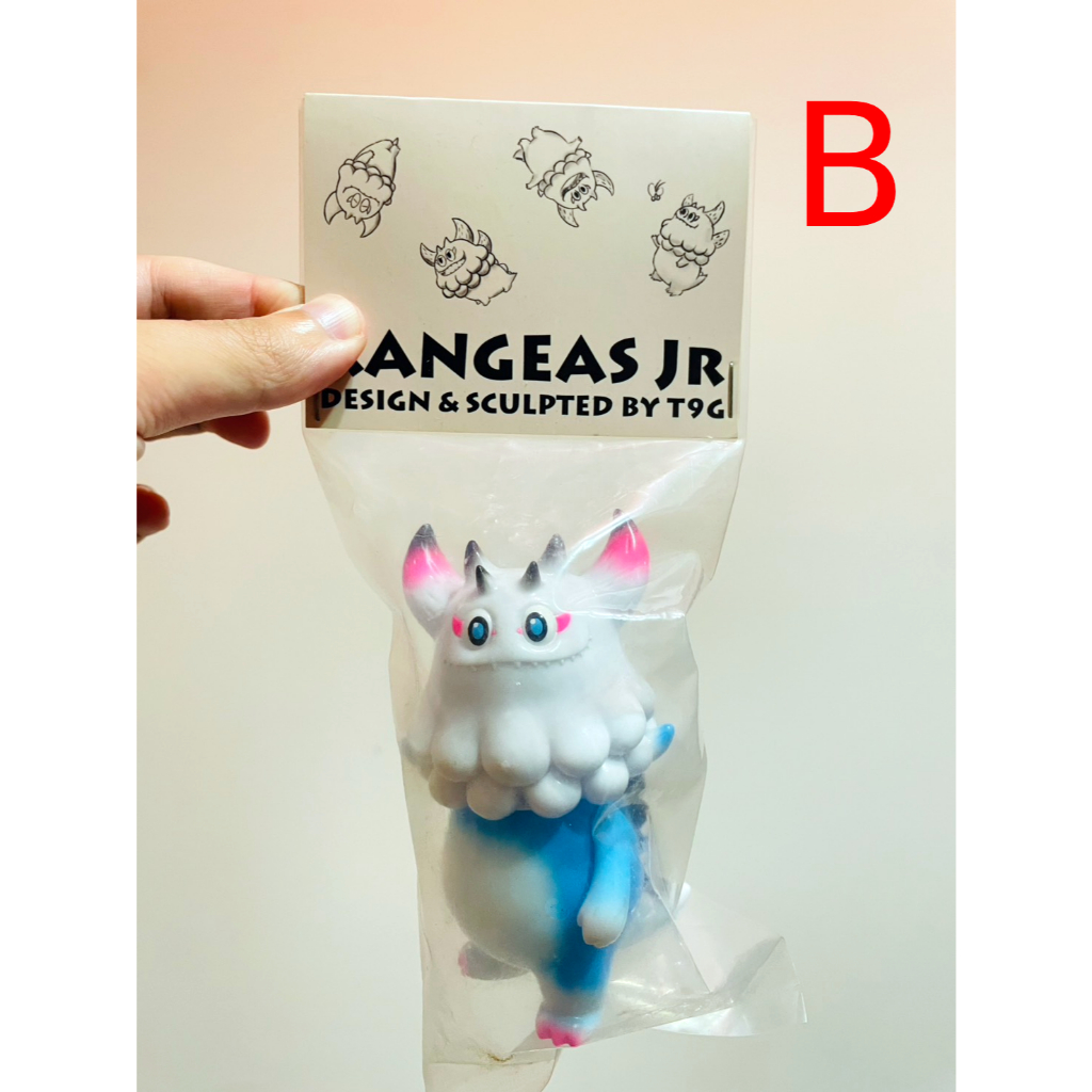 全新未拆】T9G Rangeas Jr. | 蝦皮購物