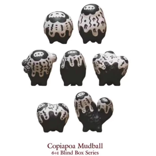 羅本製所 COPIAPOA MONSTER 限定flower.ver COPIAPOA MONSTER 限定flower.ver 羅本製所 - メルカリ