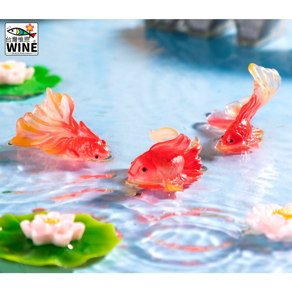 WINE台灣惟恩 微景觀 錦鯉翡翠金魚 可愛小錦鯉魚 可愛小魚錦鯉 金魚 魚 水族 園藝 室內佈置 | 蝦皮購物
