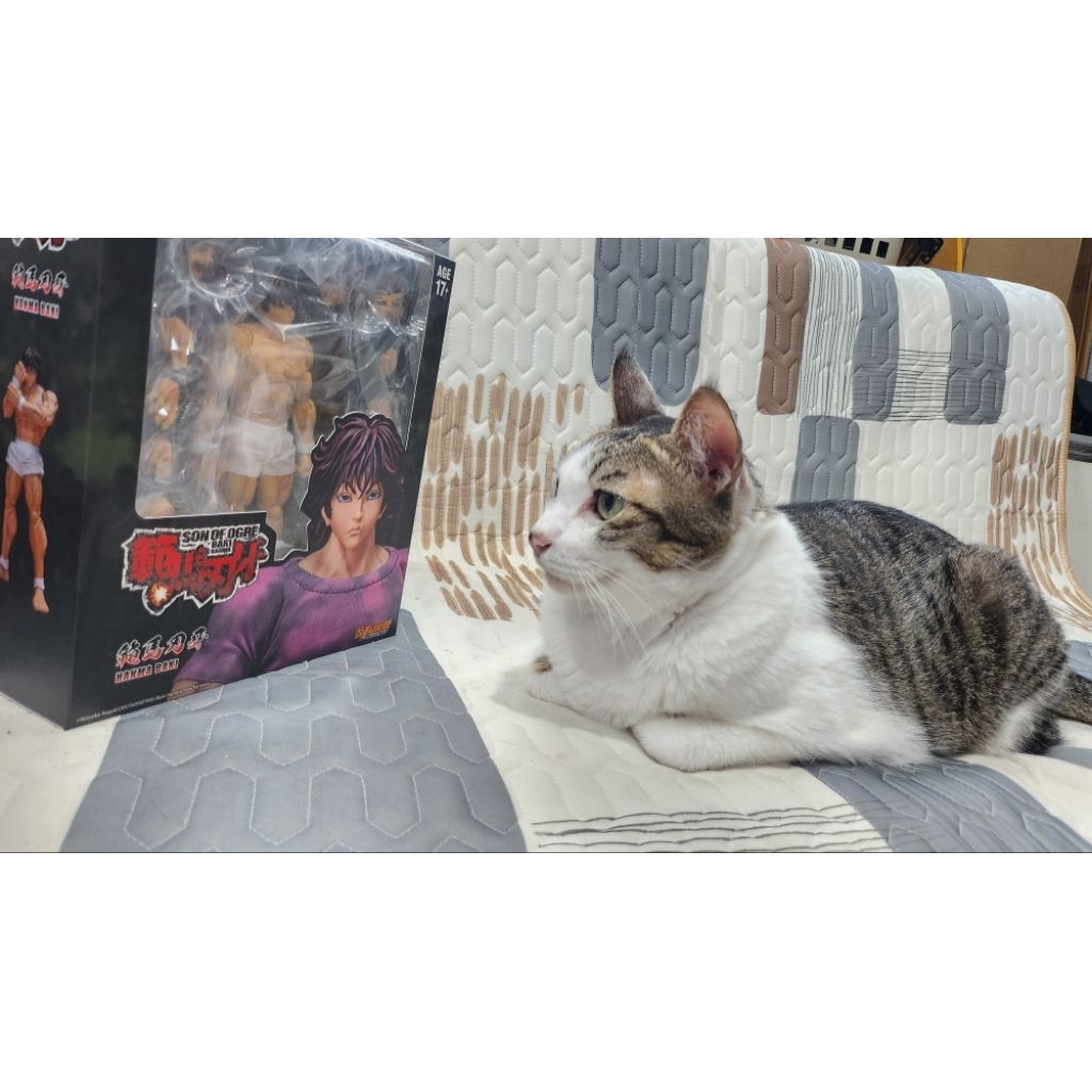 現貨 正版 STORM TOYS 範馬刃牙 新版 便服版 鬼背 | 蝦皮購物