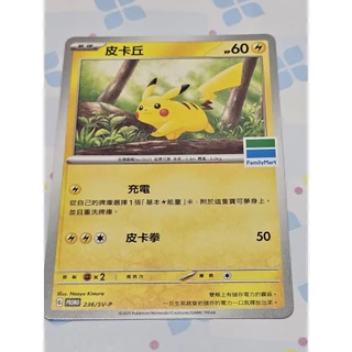 墨光遺寶　墨光遺宝 triboxストア / ShengShou Mirror Square-0 M