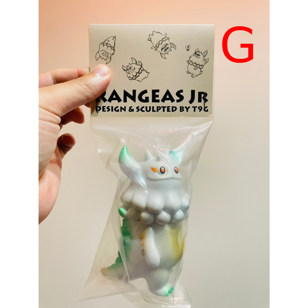 全新未拆】T9G Rangeas Jr. | 蝦皮購物