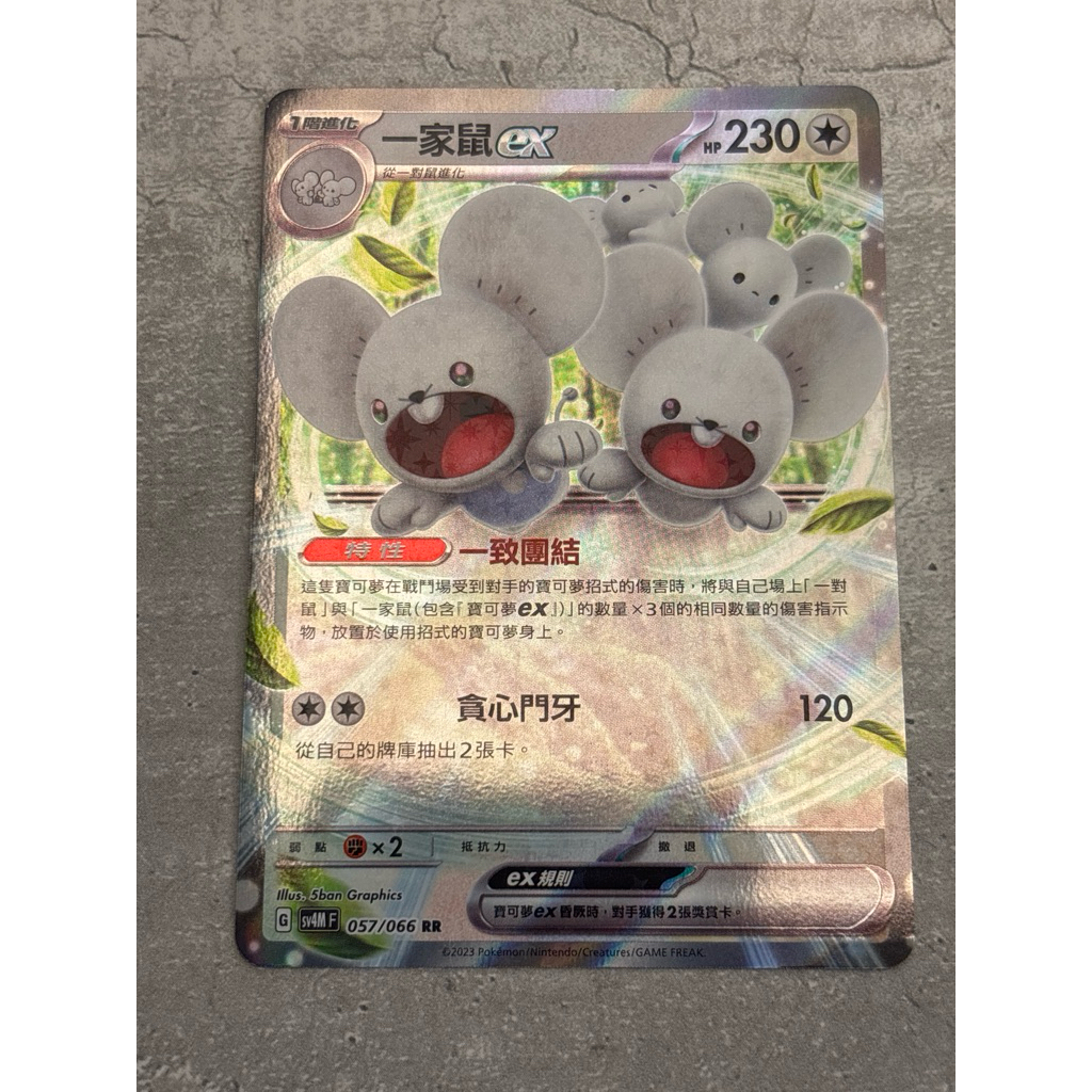 寶可夢卡牌 ㄧ家鼠 EX （1階進化） | 蝦皮購物