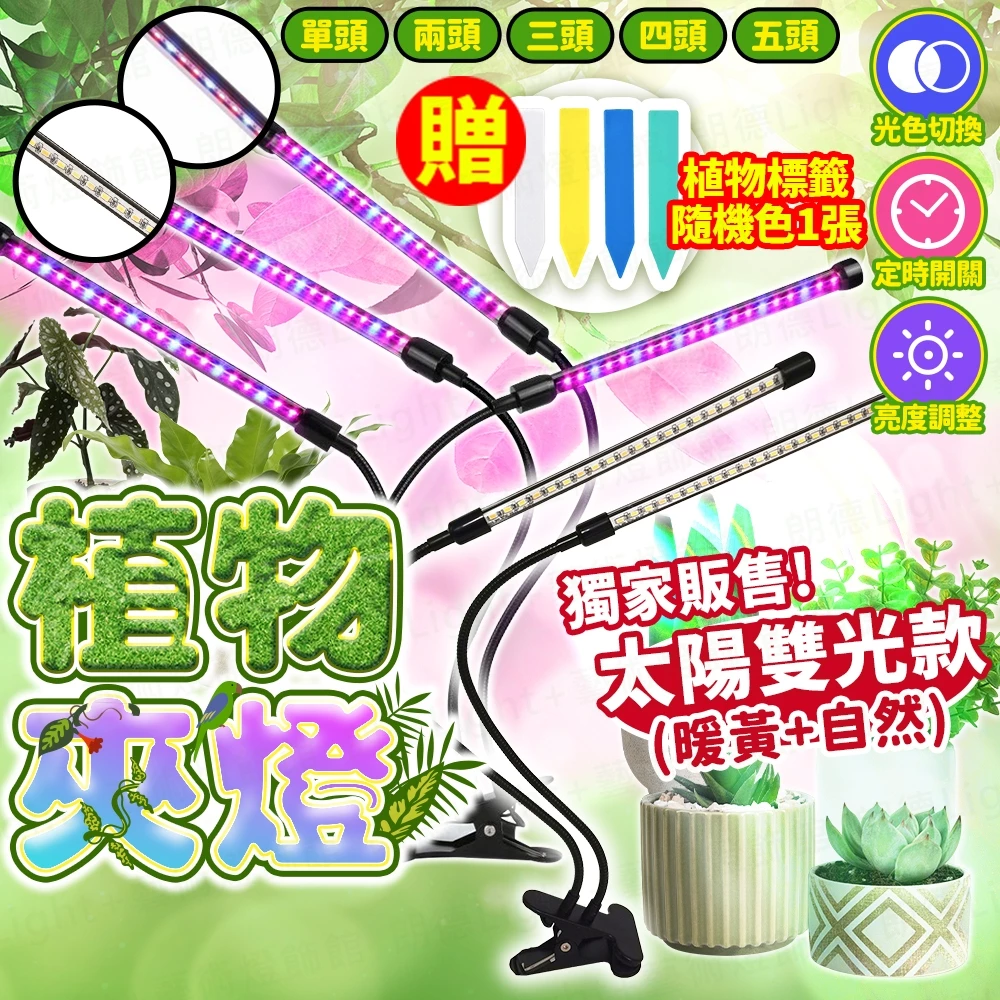 植物夾燈植物生長燈多肉補光燈紅藍燈管