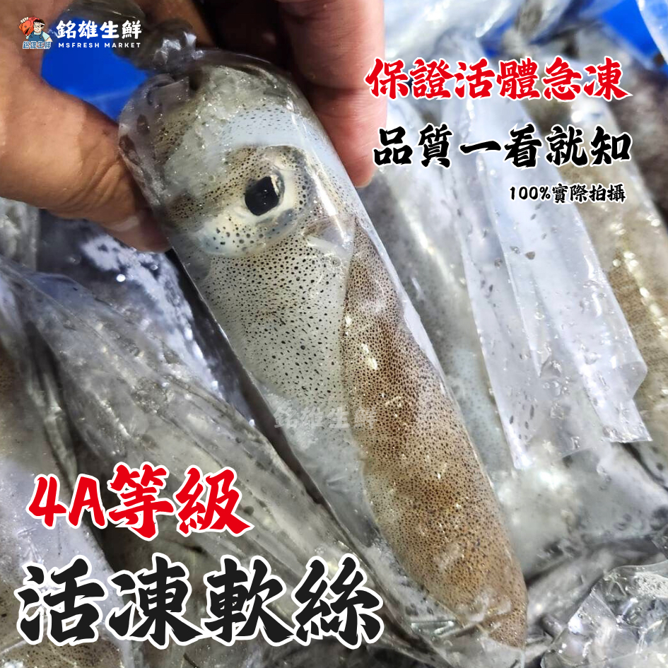 【銘雄生鮮】4A級活凍軟絲 冷凍軟絲 軟刺仔 軟絲仔 活體冷凍 活凍軟體 透抽 中卷 小卷 船上急凍 熱炒 章魚 | 蝦皮購物