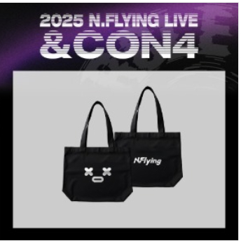 N.Flying 新飛樂團 10周年 &con4周邊 手燈裝飾物 明信片寫真書 現貨FNC | 蝦皮購物