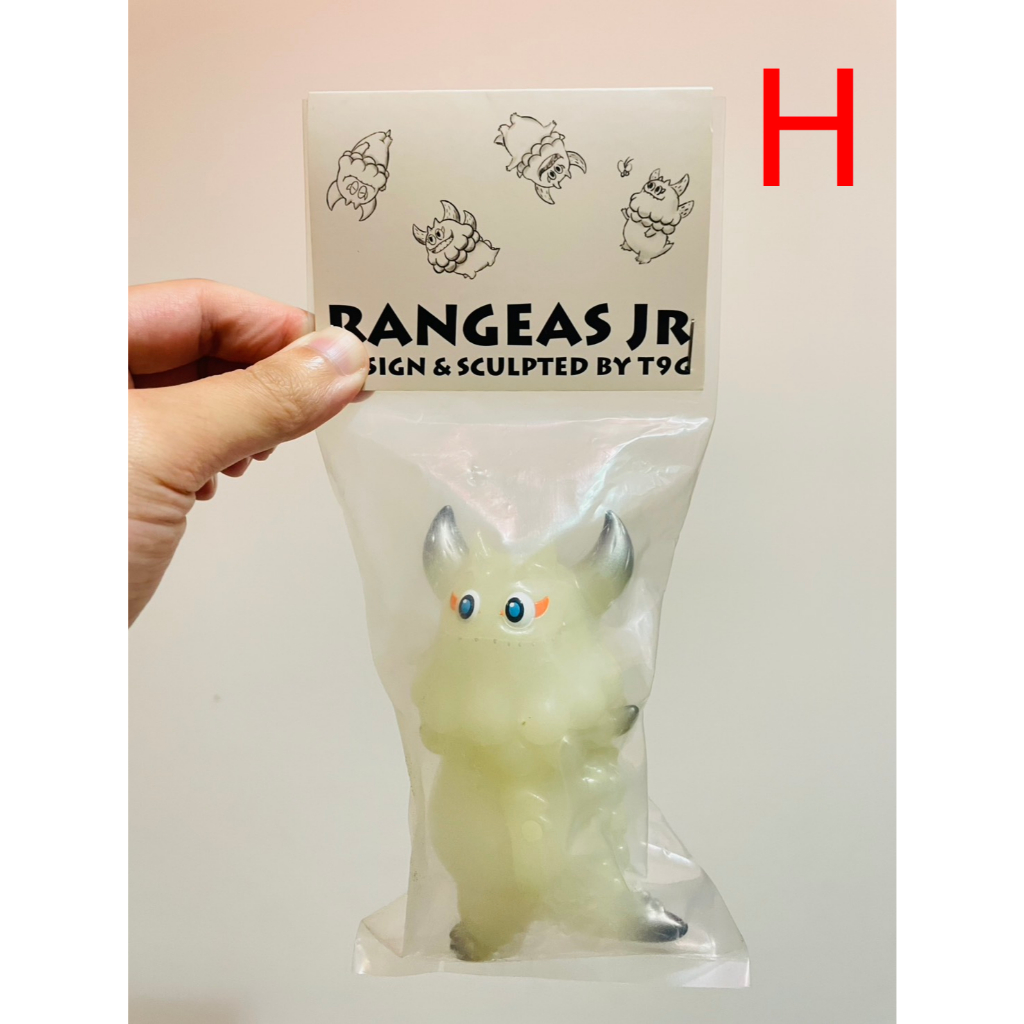 全新未拆】T9G Rangeas Jr. | 蝦皮購物