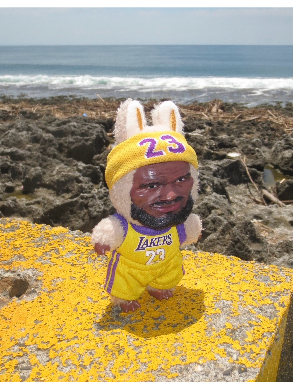 Labronbron「拉邦邦」 公仔 ｜ Labubu × LeBron James！｜潮玩藝術擺件 | 蝦皮購物