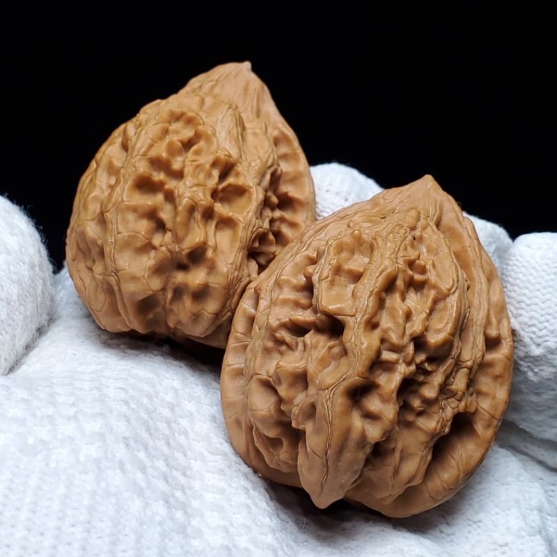 大沽石】39mm－小眾麻核桃－現貨/文玩核桃/舒壓保健/收藏玩具－媽我在