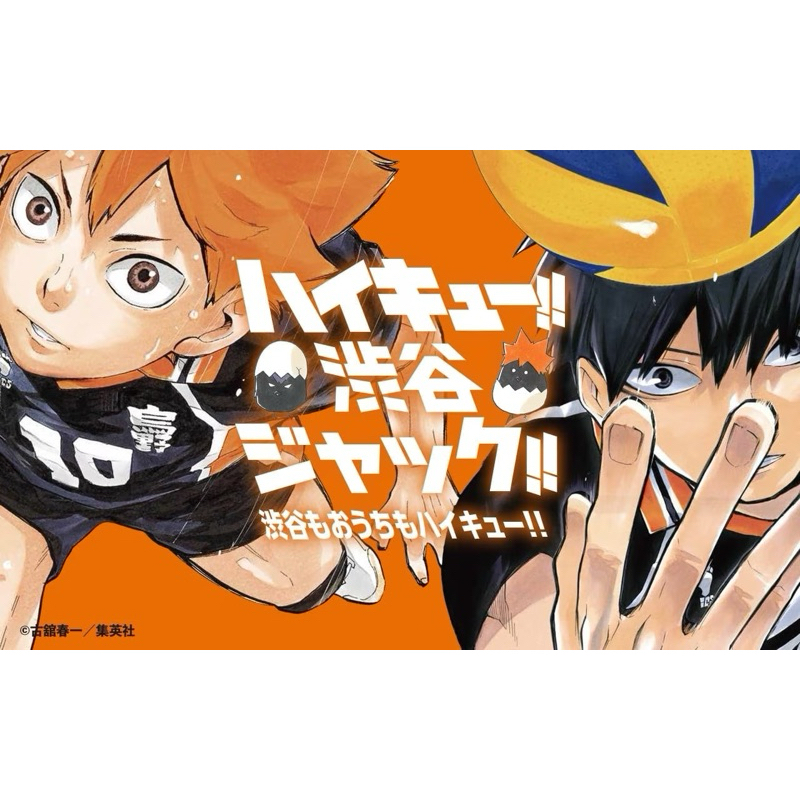 ハイキュー リベロ ハイキュー!!展 複製原画 烏野高校vs