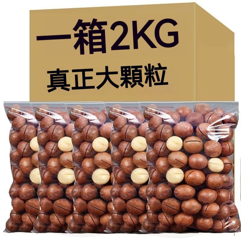 文玩堂：爆肉粗筋龍脊碧根果 碧根果- 優惠推薦- 2025年7月| 蝦皮購物台灣