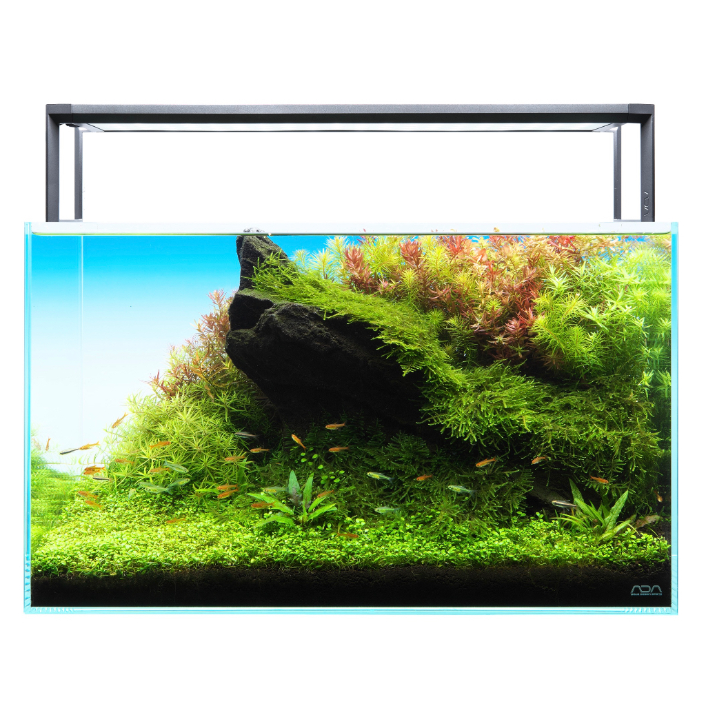 ◎ 水族之森◎日本ADA 60 2代水生植物培育專用LED | 蝦皮購物