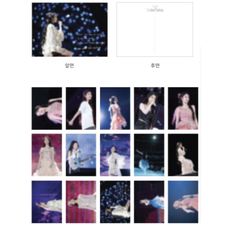 韓國CGV IU CONCERT : THE WINNING 海報(A3) TTT 票卡吉他PICK