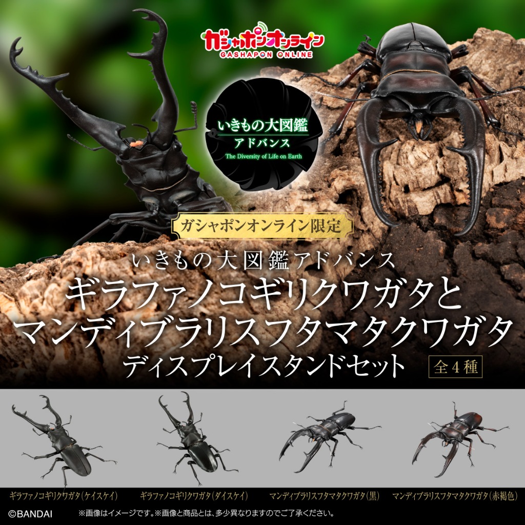 Beau特佛toys 現貨 代理 盒玩 生物大圖鑑 長頸鹿鋸鍬形蟲 巨顎叉角鍬形蟲 附展示支架 全4種 1119 | 蝦皮購物