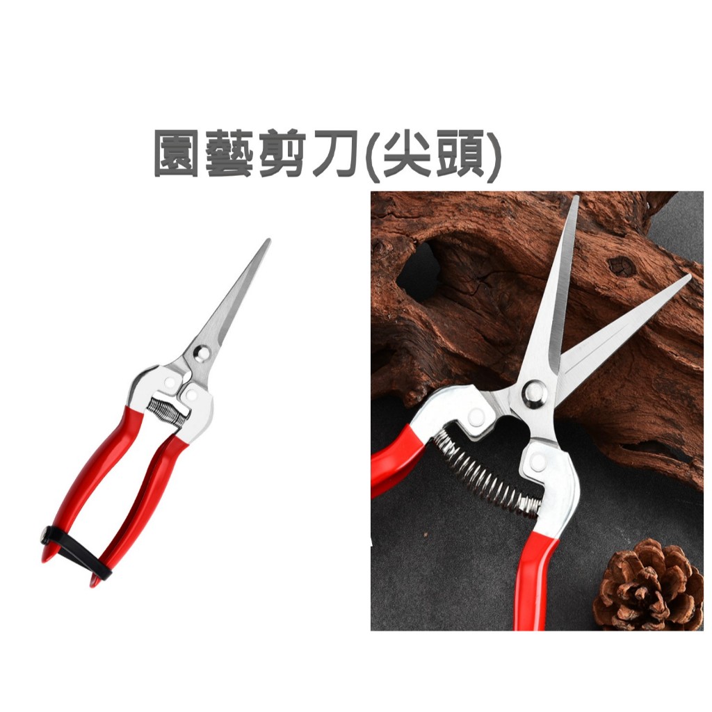 【東馬小舖】修枝剪 不鏽鋼修枝剪 園藝剪刀 葡萄剪刀 花剪 樹枝剪刀 園藝造景 剪刀 | 蝦皮購物