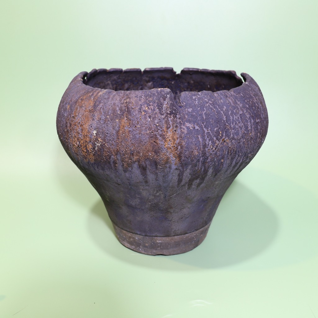 Polaroid雜貨店】♞ 細川政己塊根多肉盆器植木鉢陶器鉢y鉢| 蝦皮購物