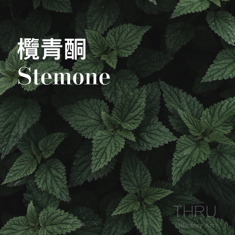 Stemone欖青酮 園野綠感 瑞士香水大廠單體 無花果綠色調 黑醋栗葉蕃茄葉 調香原料 擴香香料 香精香氛手作蠟材皂材 | 蝦皮購物