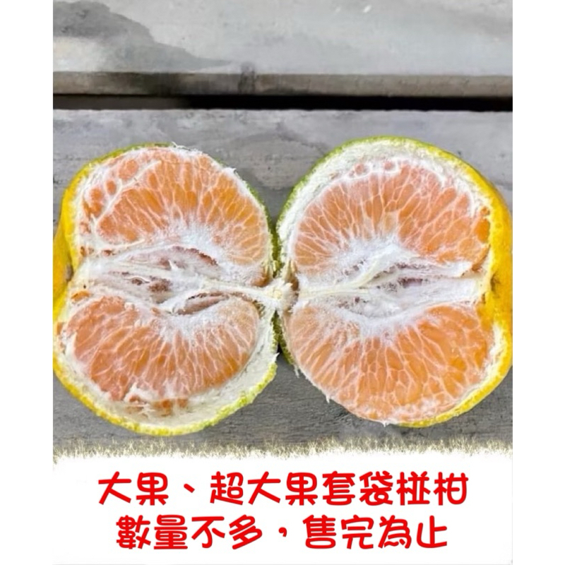 12/9寄出儲藏椪柑 財伯椪柑園 橘子 苗栗大湖椪柑 橘子桶柑 佶子 品質保證 碰柑 | 蝦皮購物