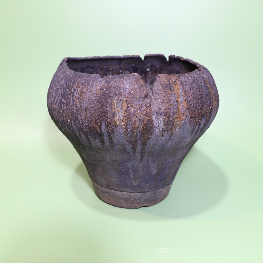 Polaroid雜貨店】♞ 細川政己塊根多肉盆器植木鉢陶器鉢y鉢| 蝦皮購物