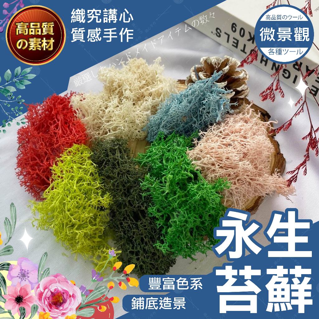 苔癬 - 優惠推薦 - 2026年8月 | 蝦皮購物台灣