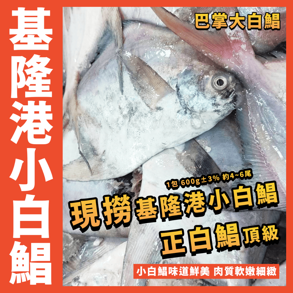 【鮮煮義美食街】現撈小白鯧／白鯧魚／1包 600g±3% 約4~6尾／小白鯧魚／正白鯧／鮮嫩白鯧 ／年菜／白倉／白昌 | 蝦皮購物