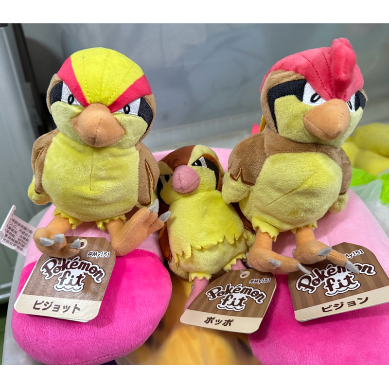 寶可夢 pokemon fit 中心 波波 比比鳥 比雕 大比鳥 家門鳥 娃娃 布偶 | 蝦皮購物