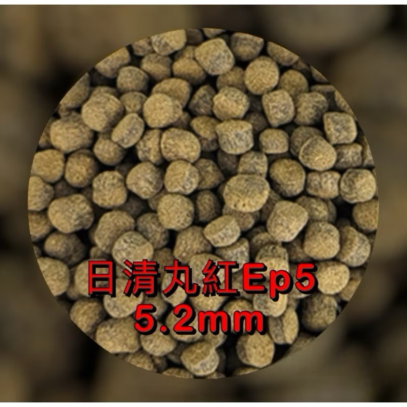 日清丸紅日清EP1 EP2 EP3 EP5 金魚飼料沈底飼料沉底飼料底棲鼠魚 日清丸紅日清EP1 EP2 EP3 EP5 金魚飼料沈底飼料沉底飼料底棲鼠魚