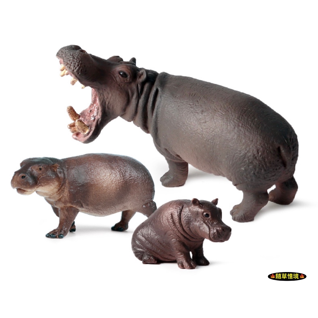 河馬公仔- 優惠推薦- 2026年1月| 蝦皮購物台灣