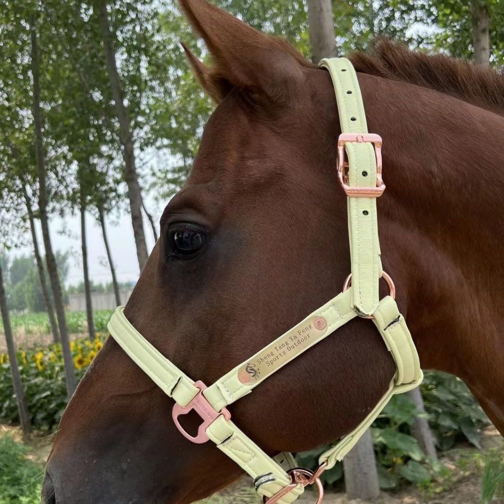 YIYI馬鞍馬籠頭馬具,超纖皮馬龍頭,牽馬籠頭 | 蝦皮購物