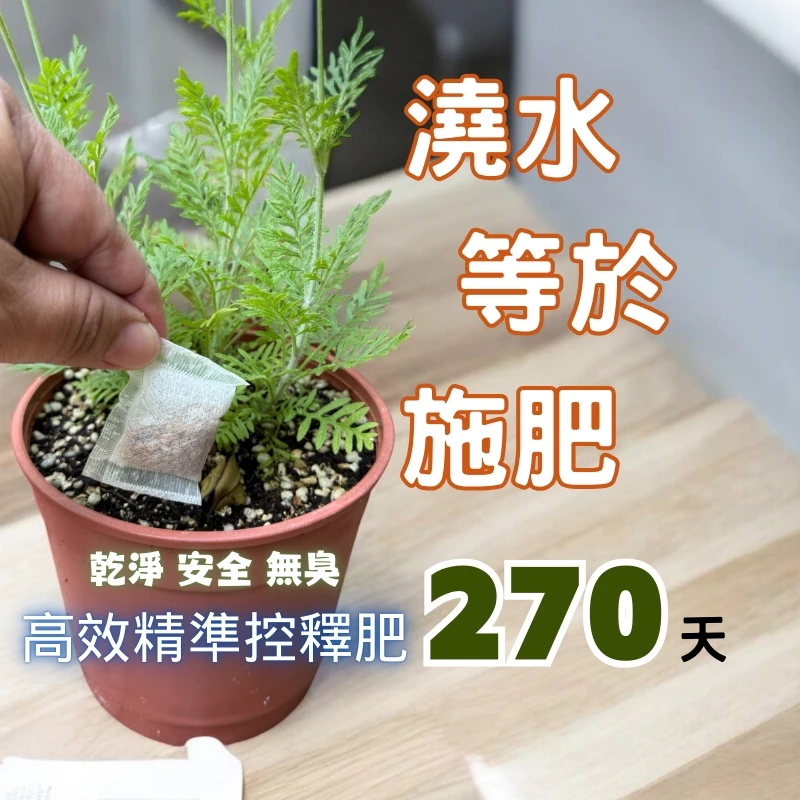 辦公室盆栽 肥料 乾淨無臭 不長蟲 澆水即施肥 奧綠肥591 8~9個月施用一次 植物成長肥 虎尾蘭 觀葉植物肥