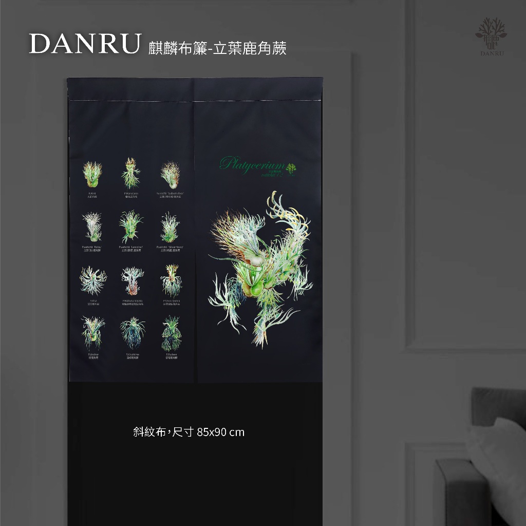 DANRU麒麟門簾-立葉鹿角蕨 | 蝦皮購物